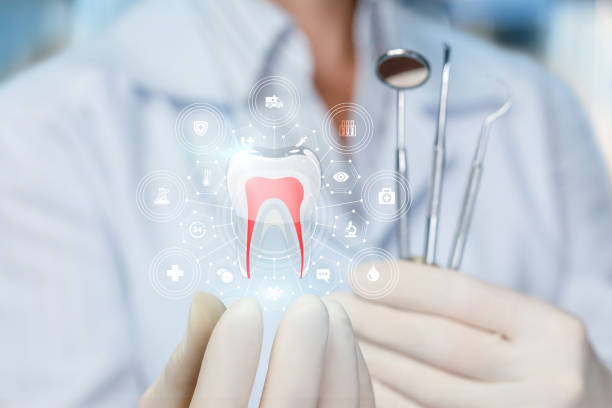 Best Preventive Dentistry  in St Michael, MN